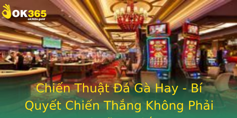 Chiến Thuật Đá Gà Hay - Bí Quyết Chiến Thắng Không Phải Ai Cũng Biết Chiến Thuật Đá Gà Hay - Bí Quyết Chiến Thắng Không Phải Ai Cũng Biết