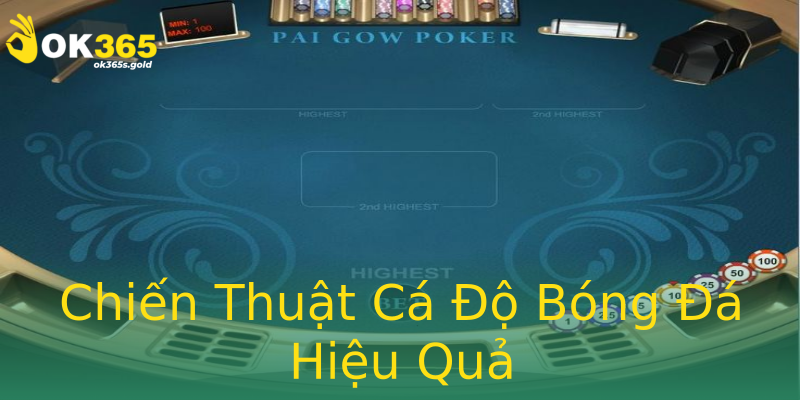 Chiến Thuật Cá Độ Bóng Đá Hiệu Quả Chiến Thuật Cá Độ Bóng Đá Hiệu Quả