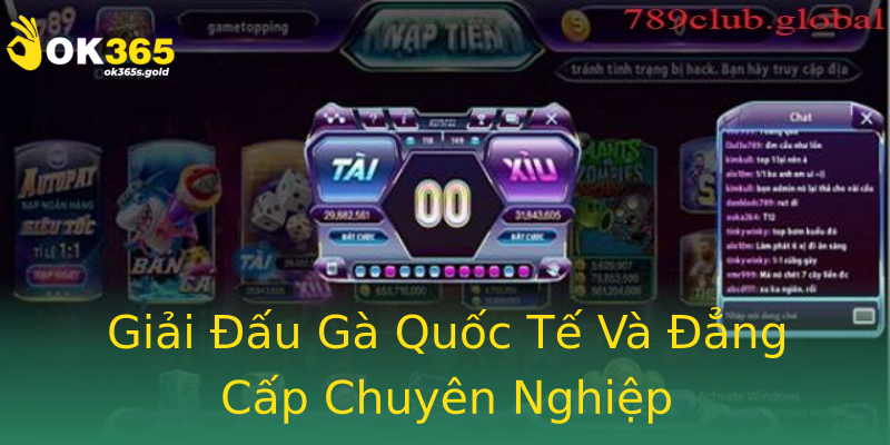 Giải Đấu Gà Quốc Tế Và Đẳng Cấp Chuyên Nghiệp Giải Đấu Gà Quốc Tế Và Đẳng Cấp Chuyên Nghiệp