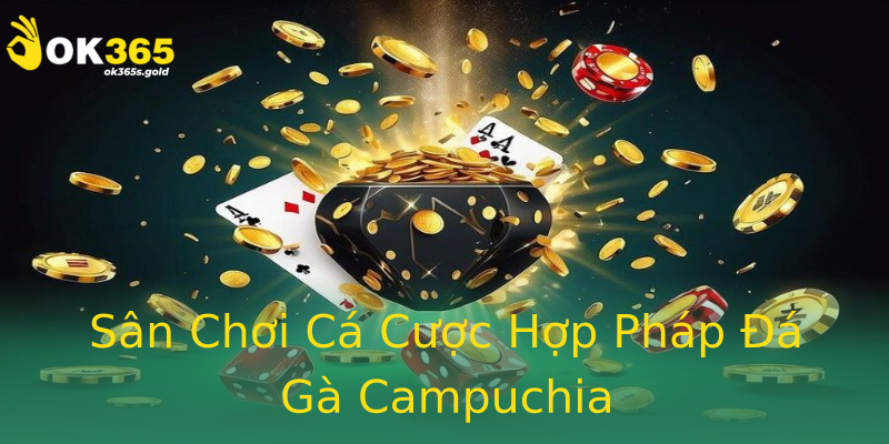 Sân Chơi Cá Cược Hợp Pháp Đá Gà Campuchia Sân Chơi Cá Cược Hợp Pháp Đá Gà Campuchia